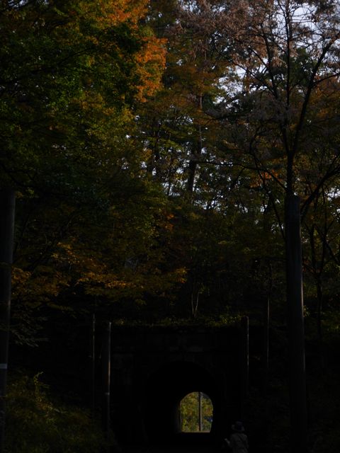 e0087511_1558518.jpg