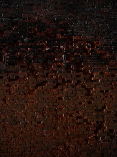 e0087511_1615992.jpg