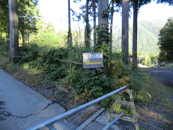 d0170615_758490.jpg