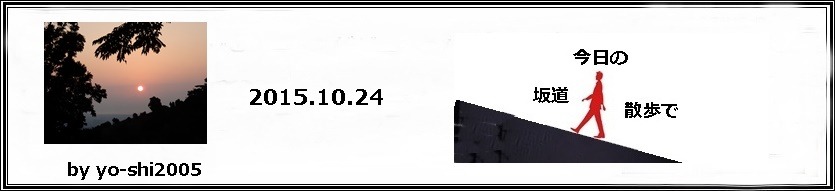 e0033229_20295067.jpg