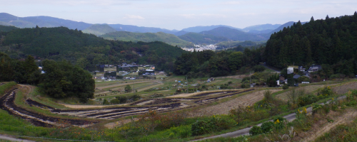 c0337631_09400891.png