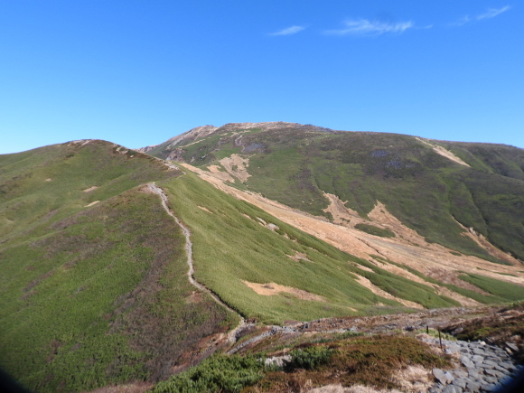 f0118332_17105930.jpg