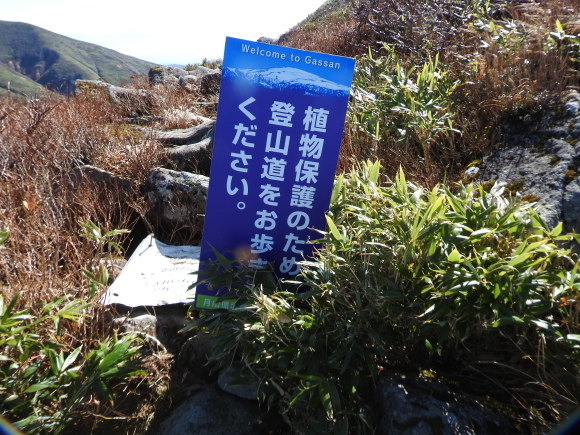 f0118332_17123322.jpg