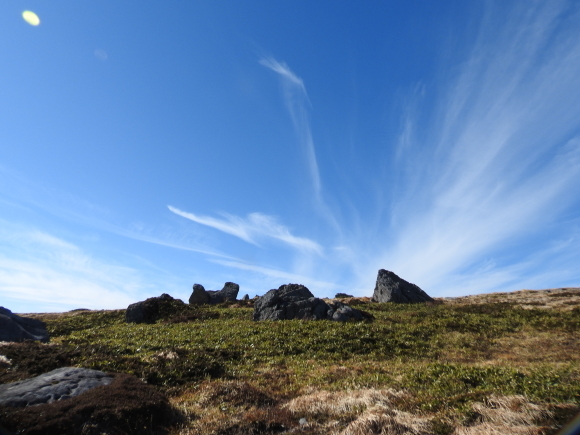 f0118332_17145411.jpg