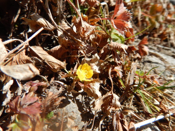 f0118332_17205805.jpg