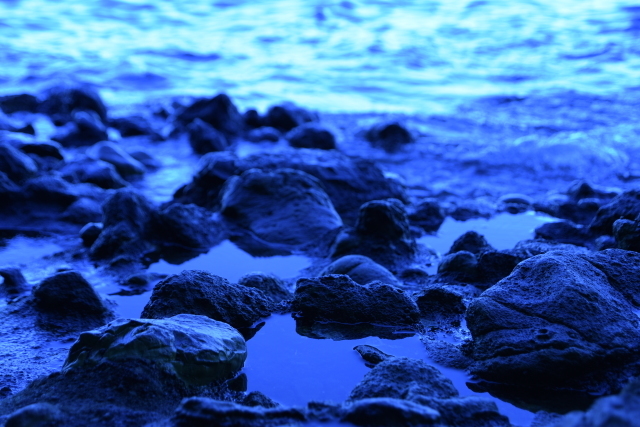a0318033_08430240.jpg