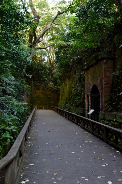 a0318033_10362755.jpg