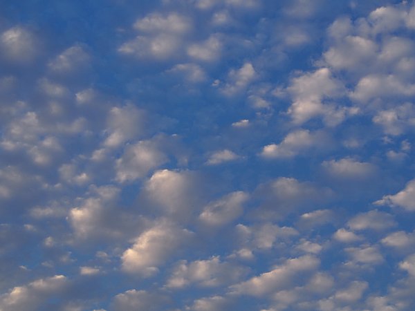 b0341140_15334079.jpg