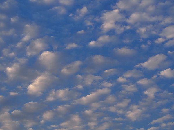 b0341140_15334916.jpg