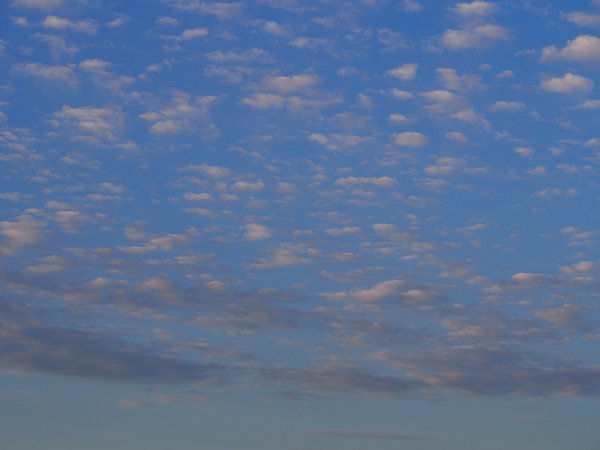 b0341140_15335738.jpg