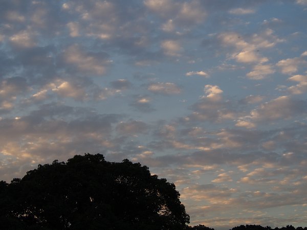 b0341140_15341328.jpg