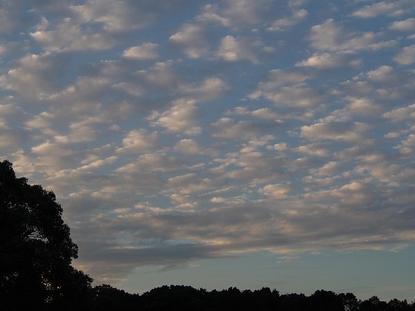 b0341140_1534568.jpg