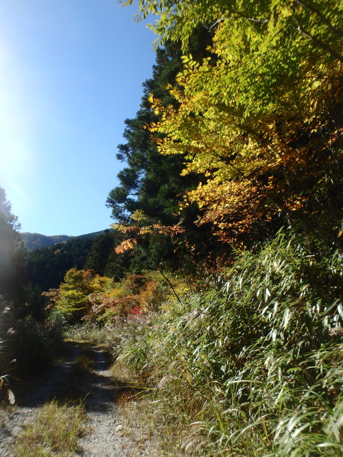 c0339546_20125729.jpg