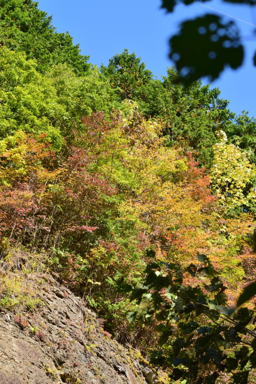 c0339546_2013886.jpg