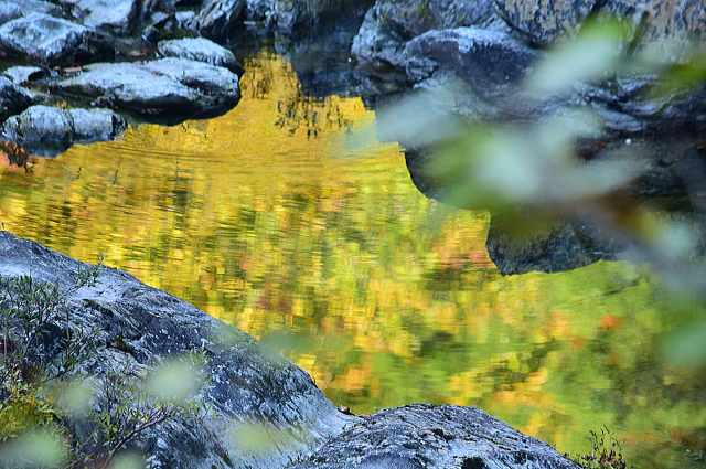 c0339546_20211016.jpg