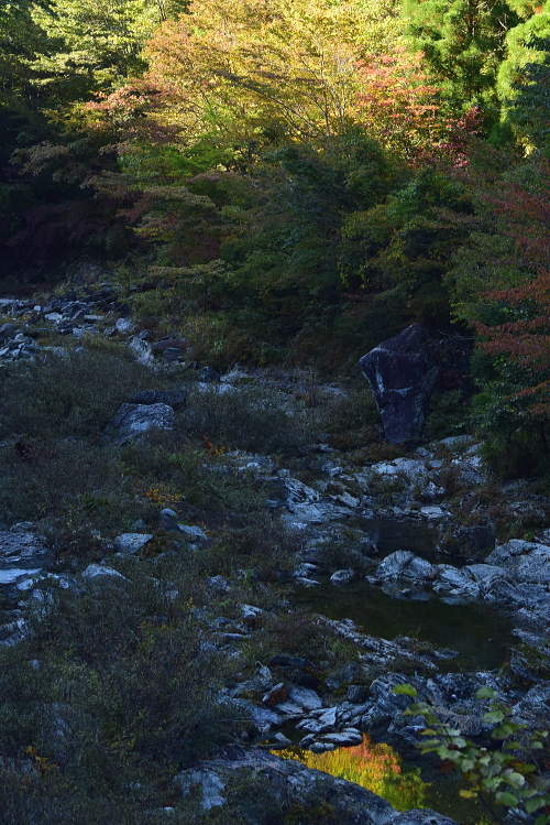 c0339546_2021312.jpg