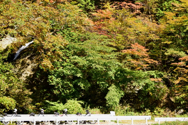 c0339546_2051393.jpg