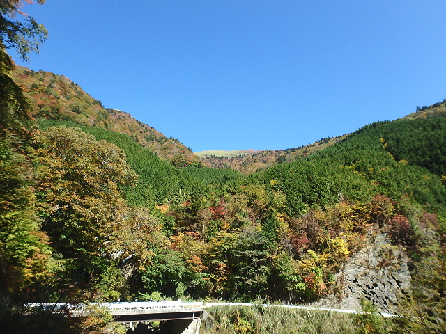 c0339546_2051892.jpg