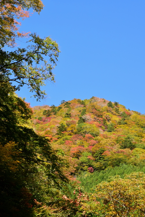 c0339546_2052420.jpg