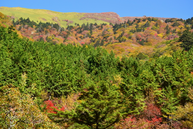 c0339546_2053273.jpg