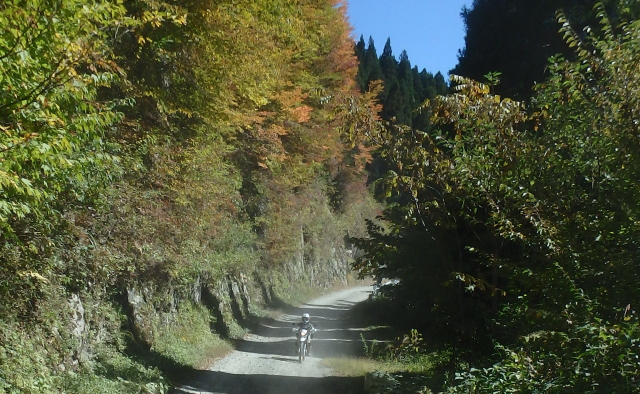 c0339546_2082246.jpg