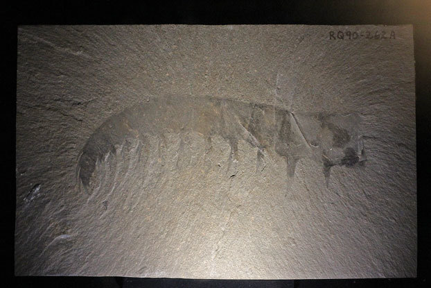e0294253_13341178.jpg