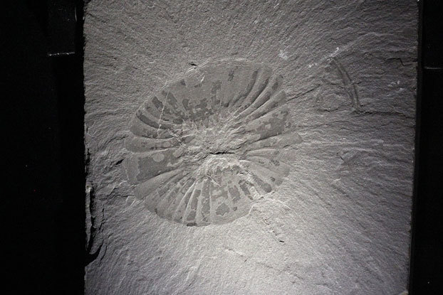 e0294253_13395040.jpg