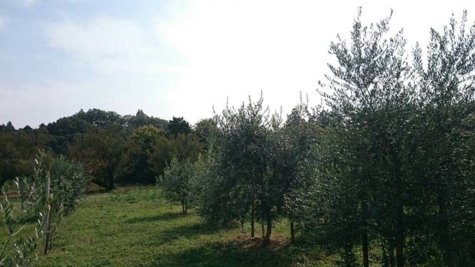 f0043559_18393016.jpg