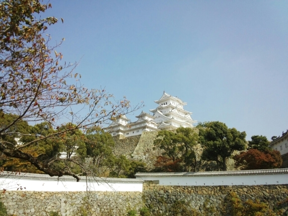 c0324961_22272013.jpg