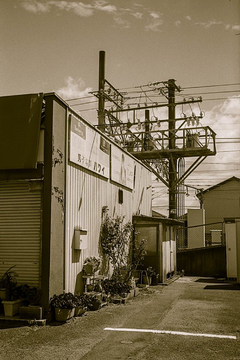 b0175964_20521647.jpg