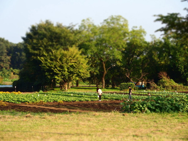 c0122670_23272259.jpg