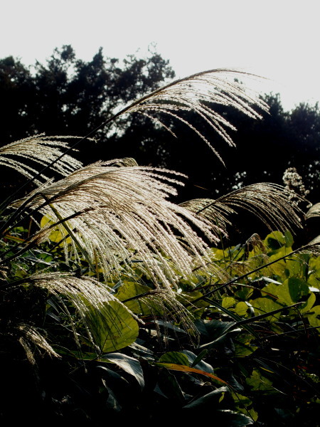 c0122670_23272283.jpg
