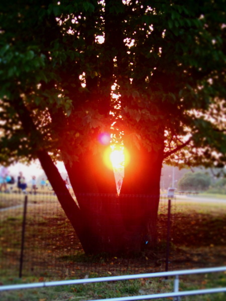 c0122670_23295710.jpg