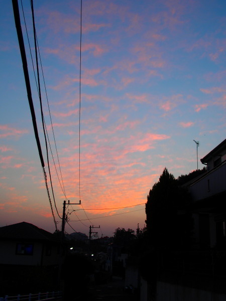 c0122670_23295718.jpg