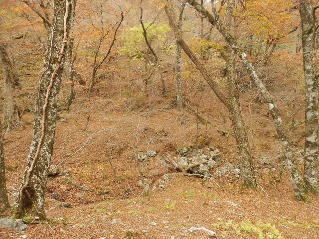f0057070_18404414.jpg
