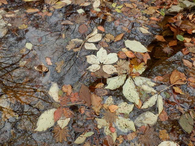 f0057070_18404989.jpg