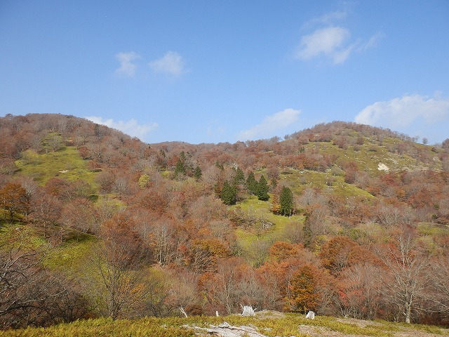 f0057070_18414166.jpg