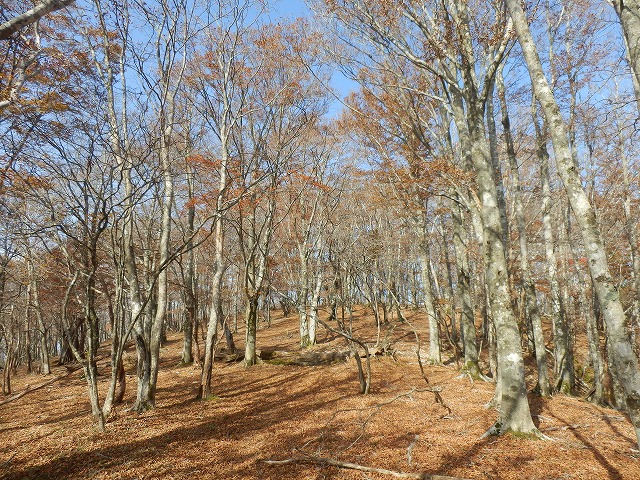 f0057070_18415834.jpg