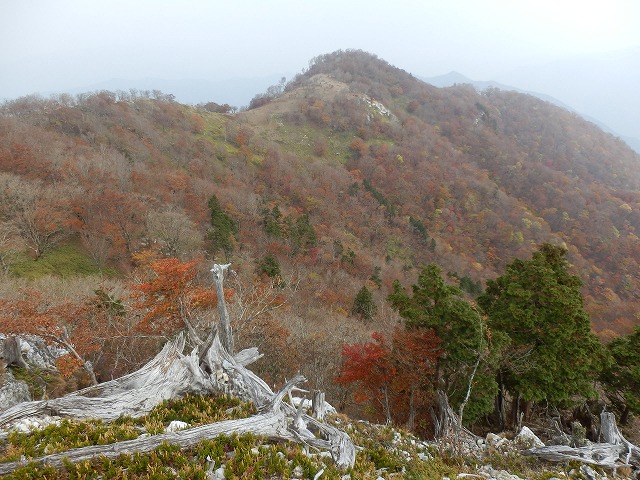 f0057070_1841732.jpg