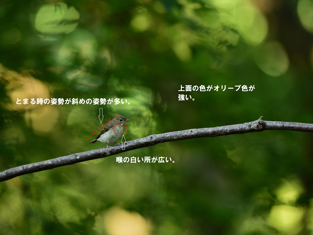 d0157380_18211251.jpg