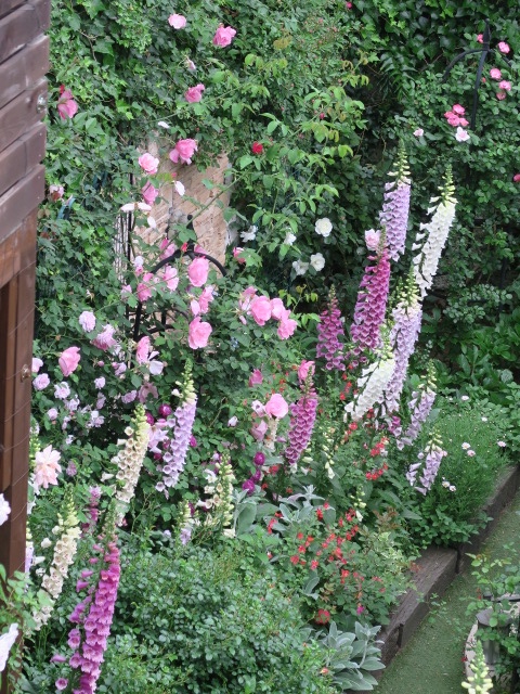 d0049381_1261734.jpg