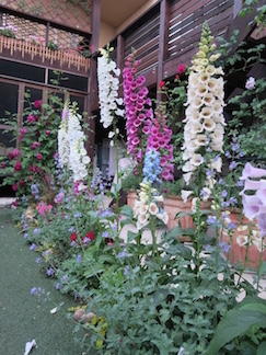 d0049381_2343305.jpg