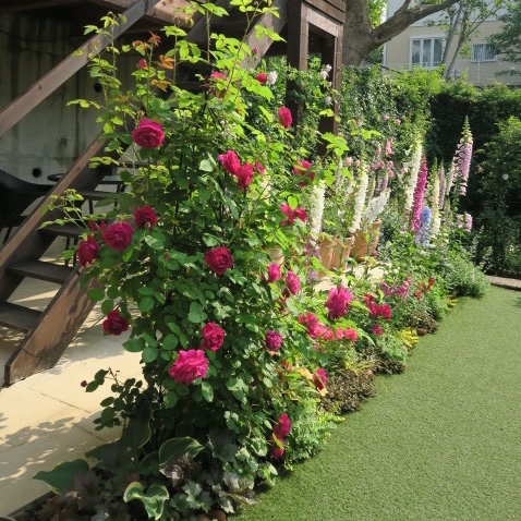 d0049381_23522743.jpg