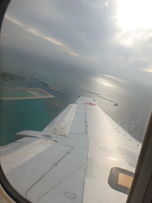 d0174683_372882.jpg