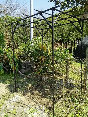 b0266191_18121211.jpg
