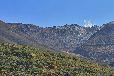 a0222494_2194235.jpg