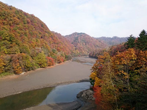 b0348195_15453637.jpg