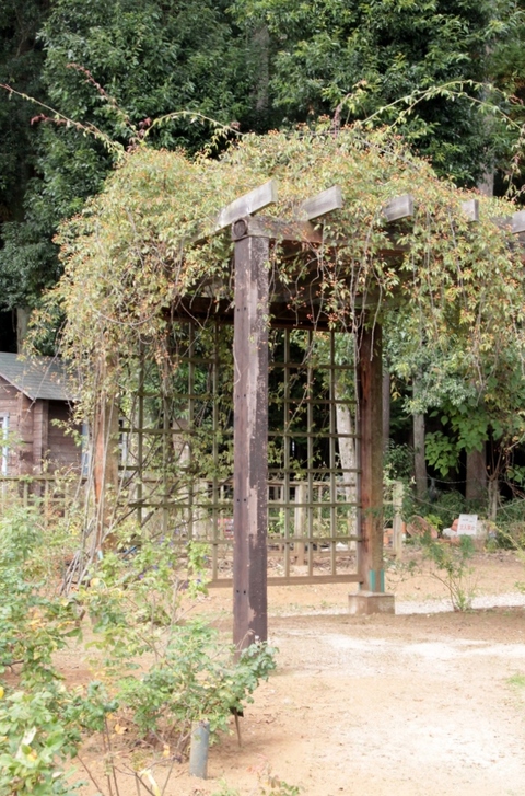 d0166303_23543481.jpg