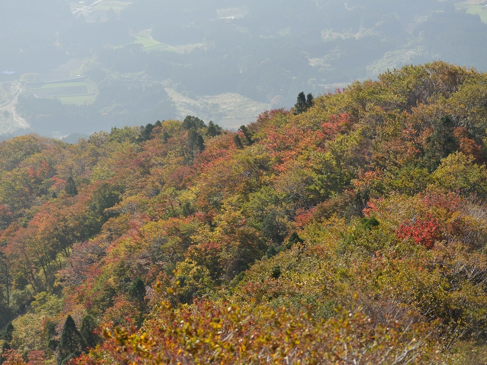 b0277008_17062442.jpg