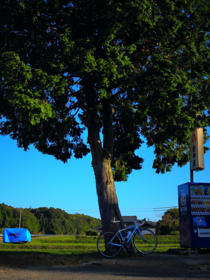 e0009009_14261511.jpg